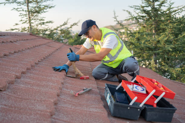 Best Gutter Installation and Roofing  in Winder, GA