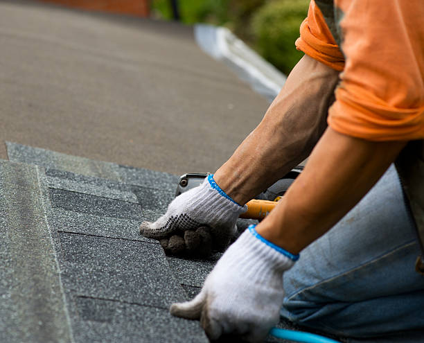 Best Roof Maintenance Services  in Winder, GA